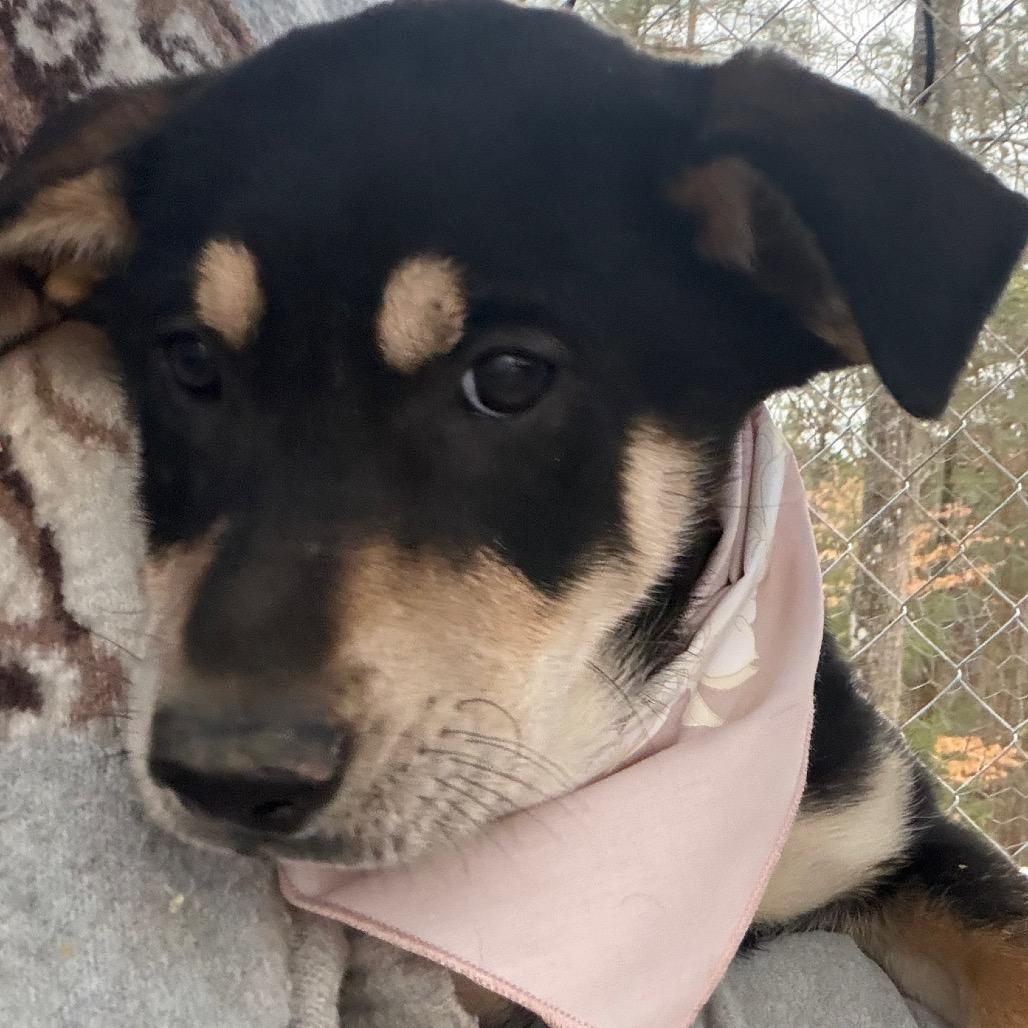 Tofu — thumbnail 4