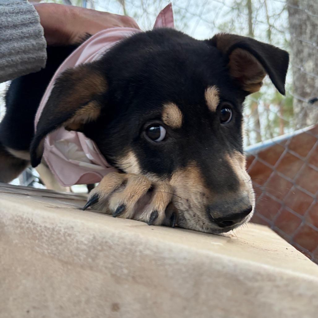 Tofu — thumbnail 6