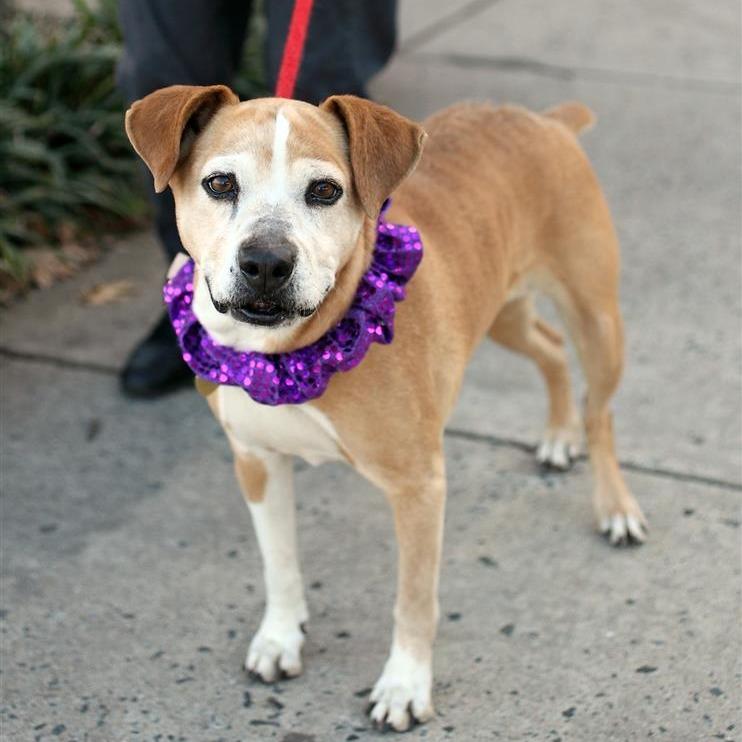 Shayna (aka Shinner)