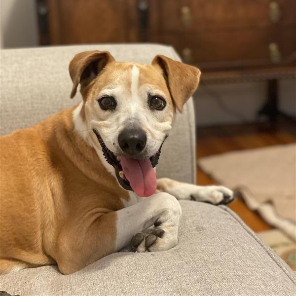 Shayna (aka Shinner) — thumbnail 2