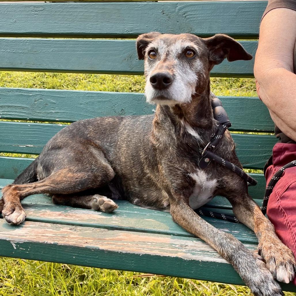 Constance thumbnail 3