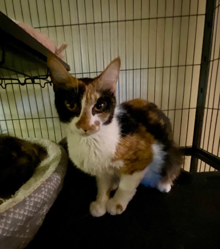 Rocky Road thumbnail 2