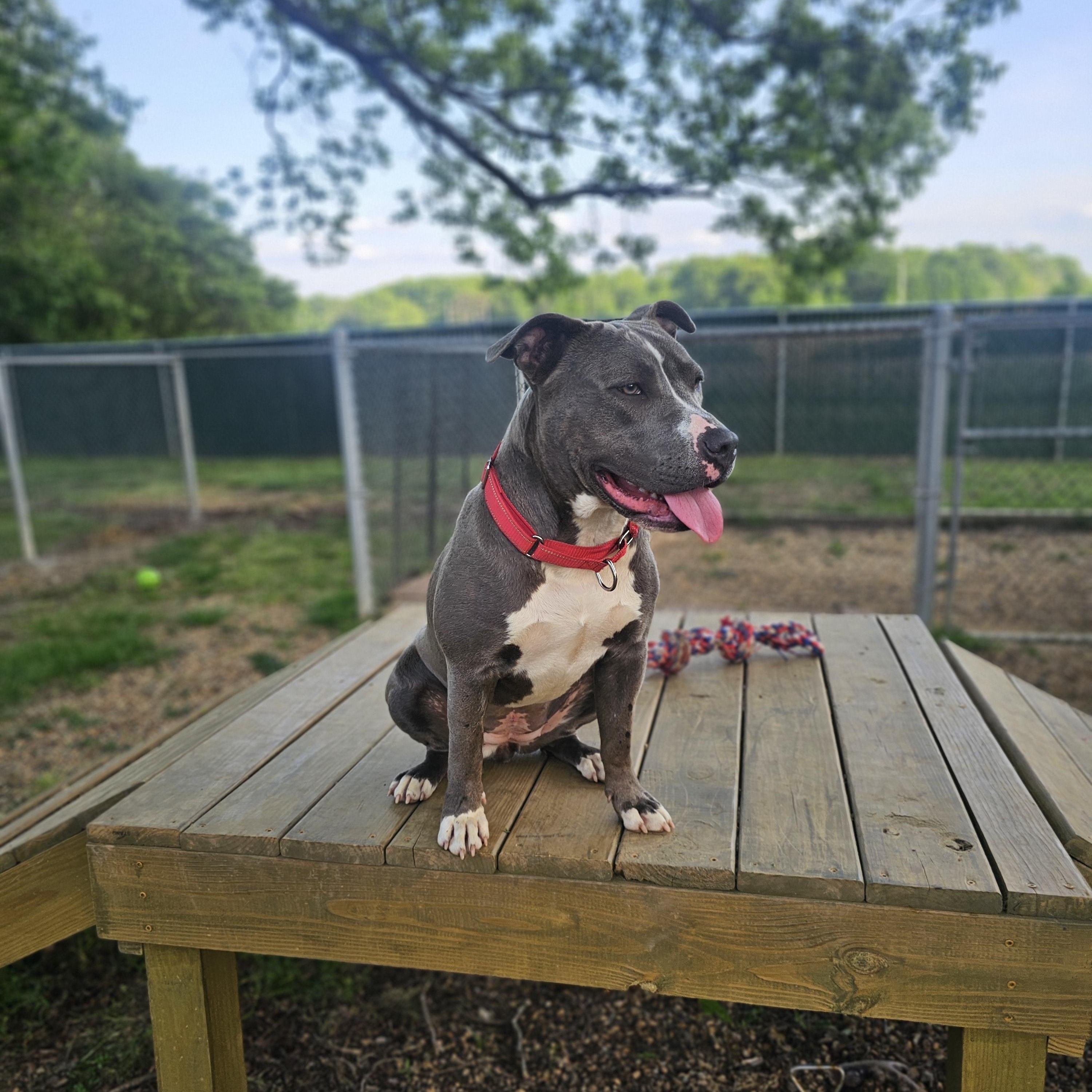 Savannah