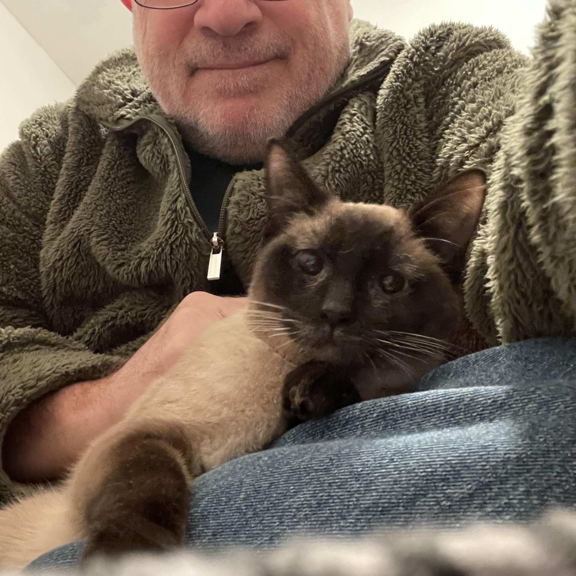 Louie, an adopted mixed breed in Baltimore, MD image 2/6