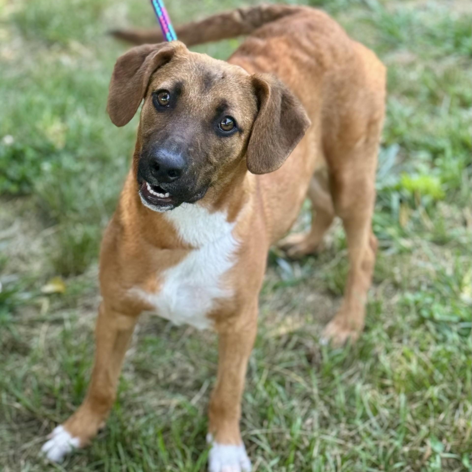 Liel Winn (CONC-A-8081)