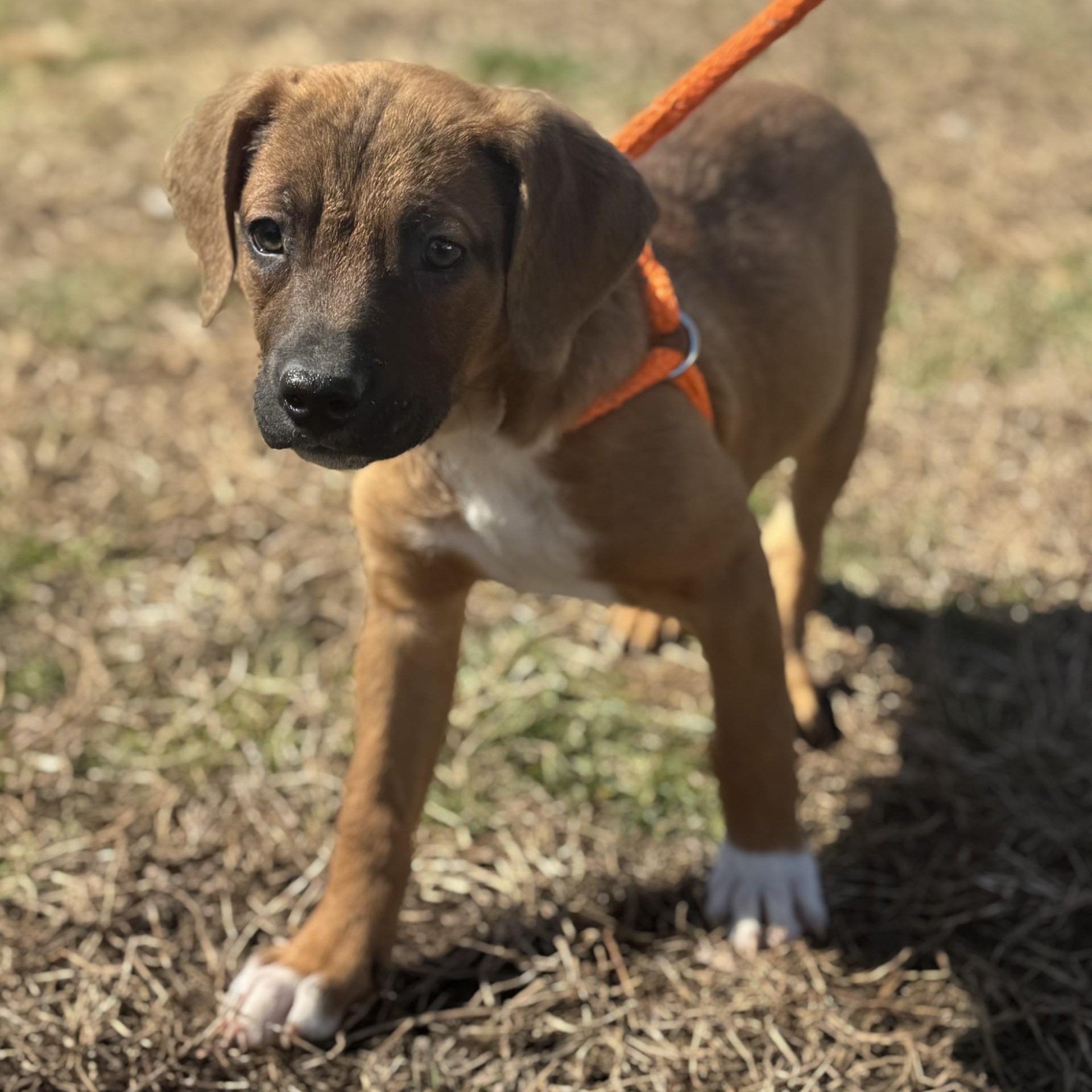 Liel Winn (CONC-A-8081)