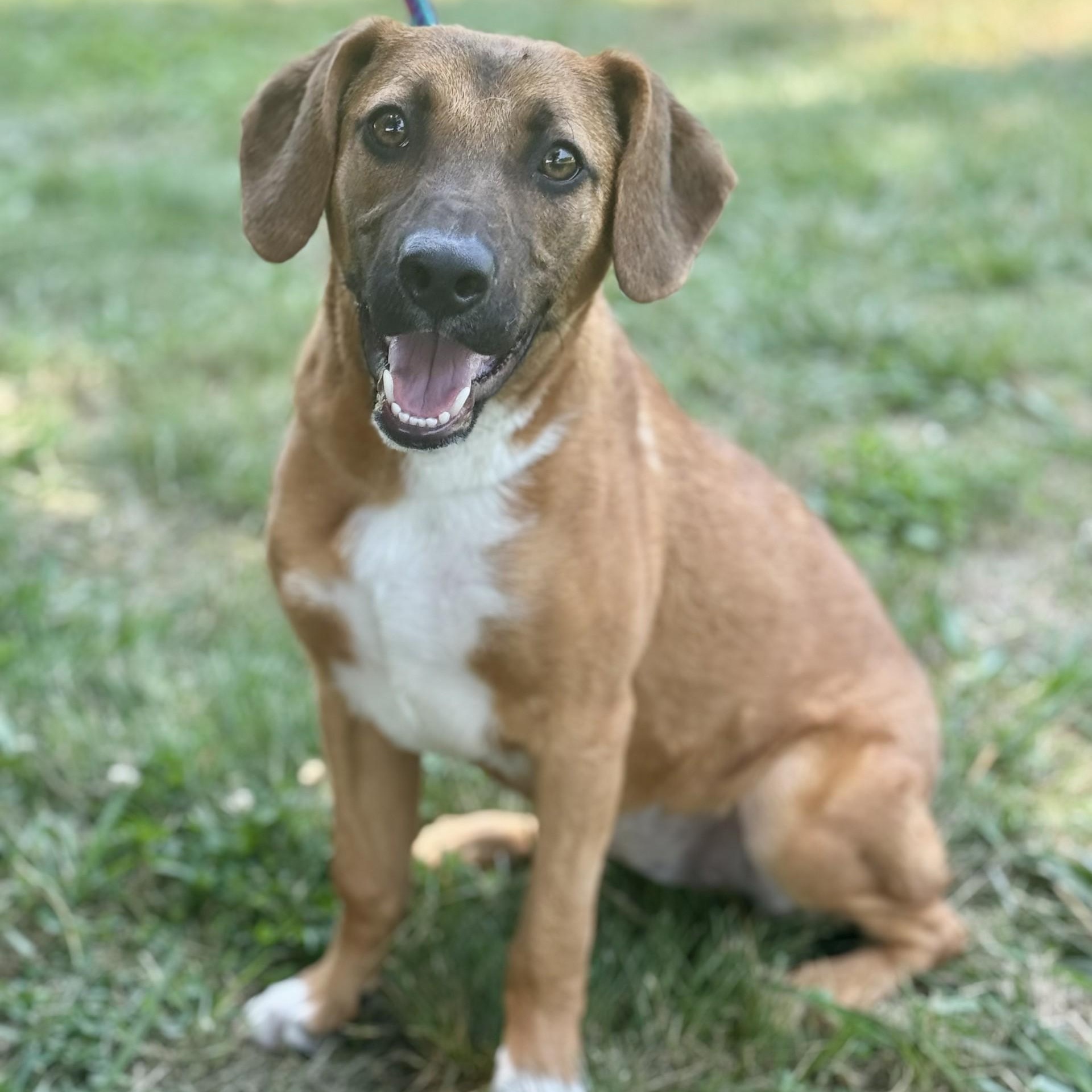 Liel Winn (CONC-A-8081)