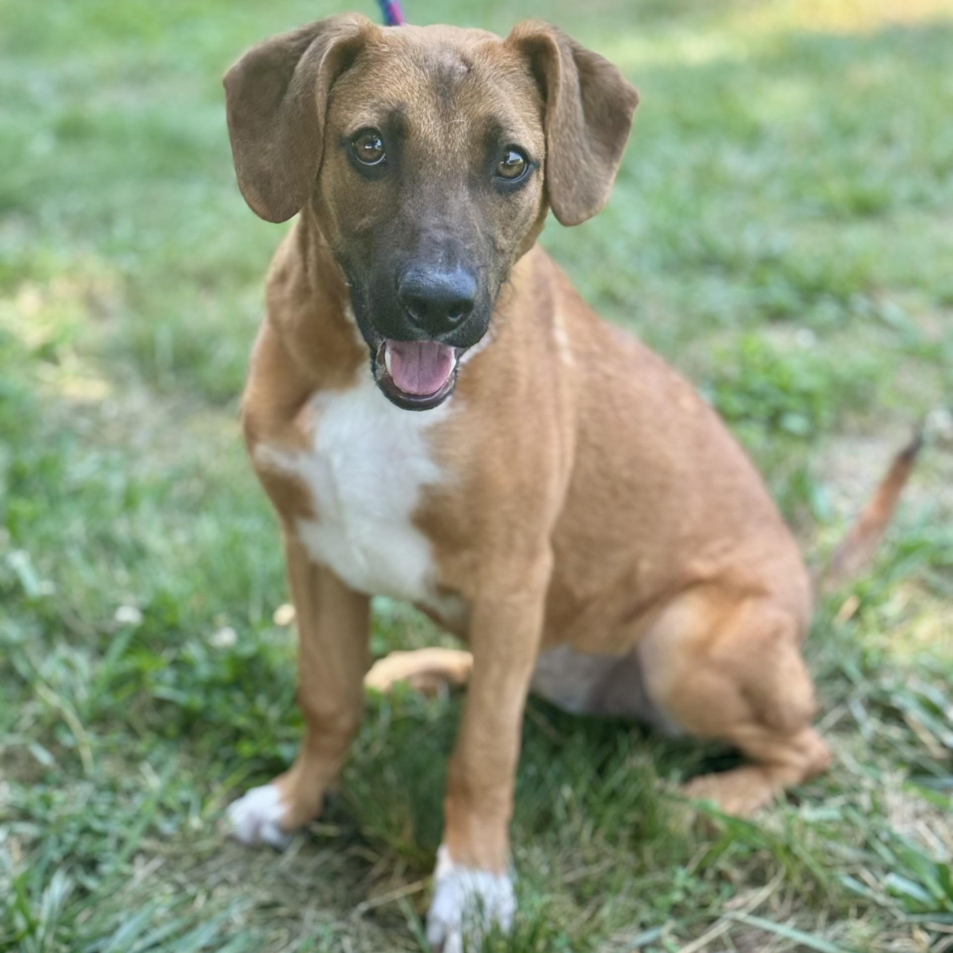 Liel Winn (CONC-A-8081)