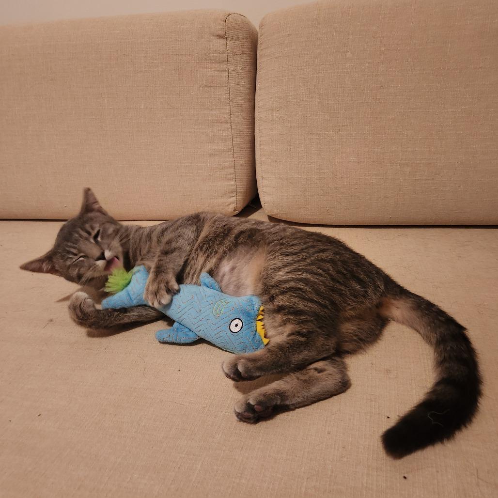 Evangeline — thumbnail 6