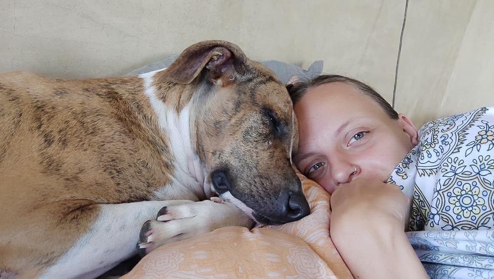 Enlarge Sequoia, a Adoptable mixed breed in San Diego, CA image 6/6