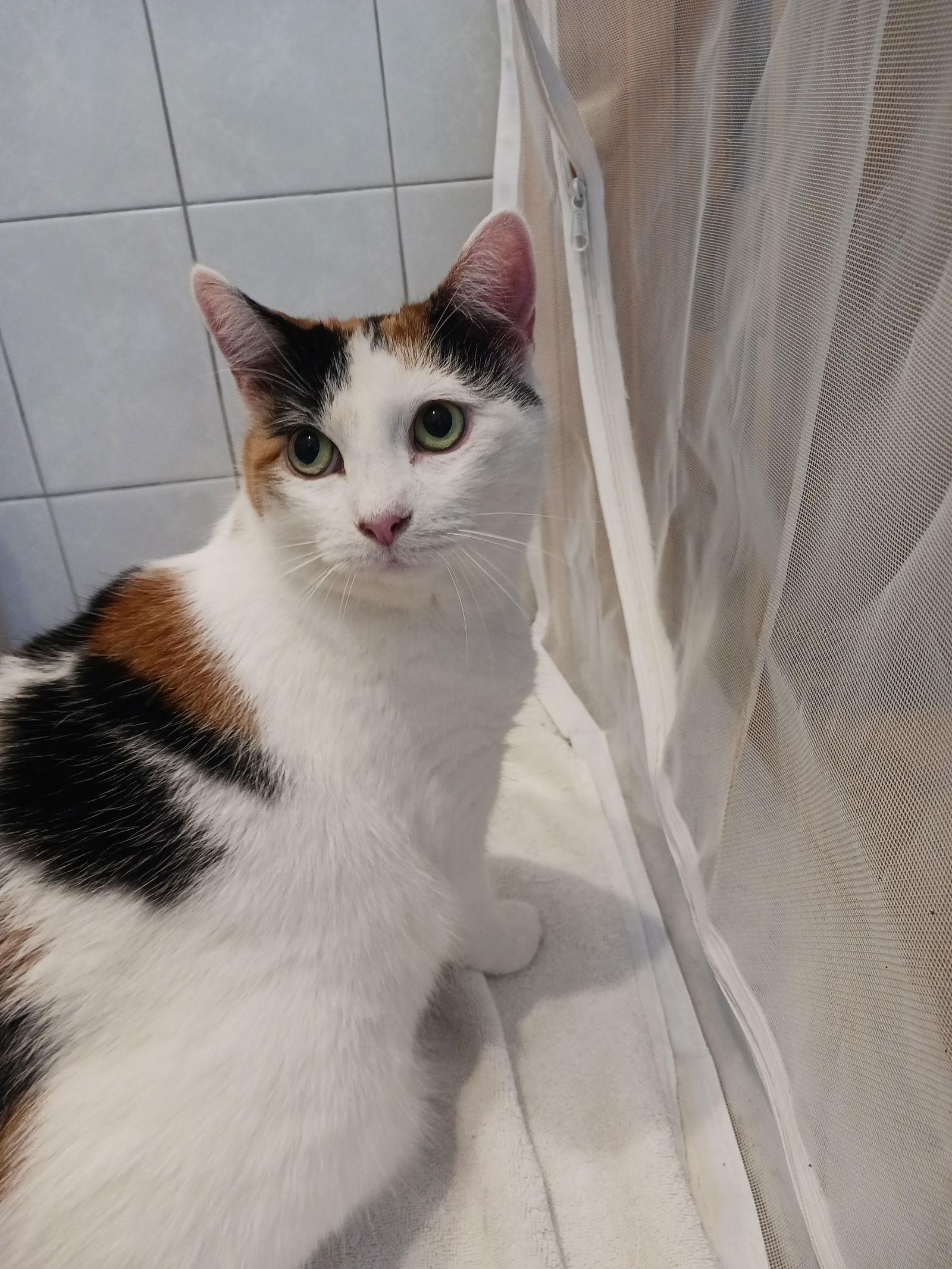 Mimi (Mama) — thumbnail 14