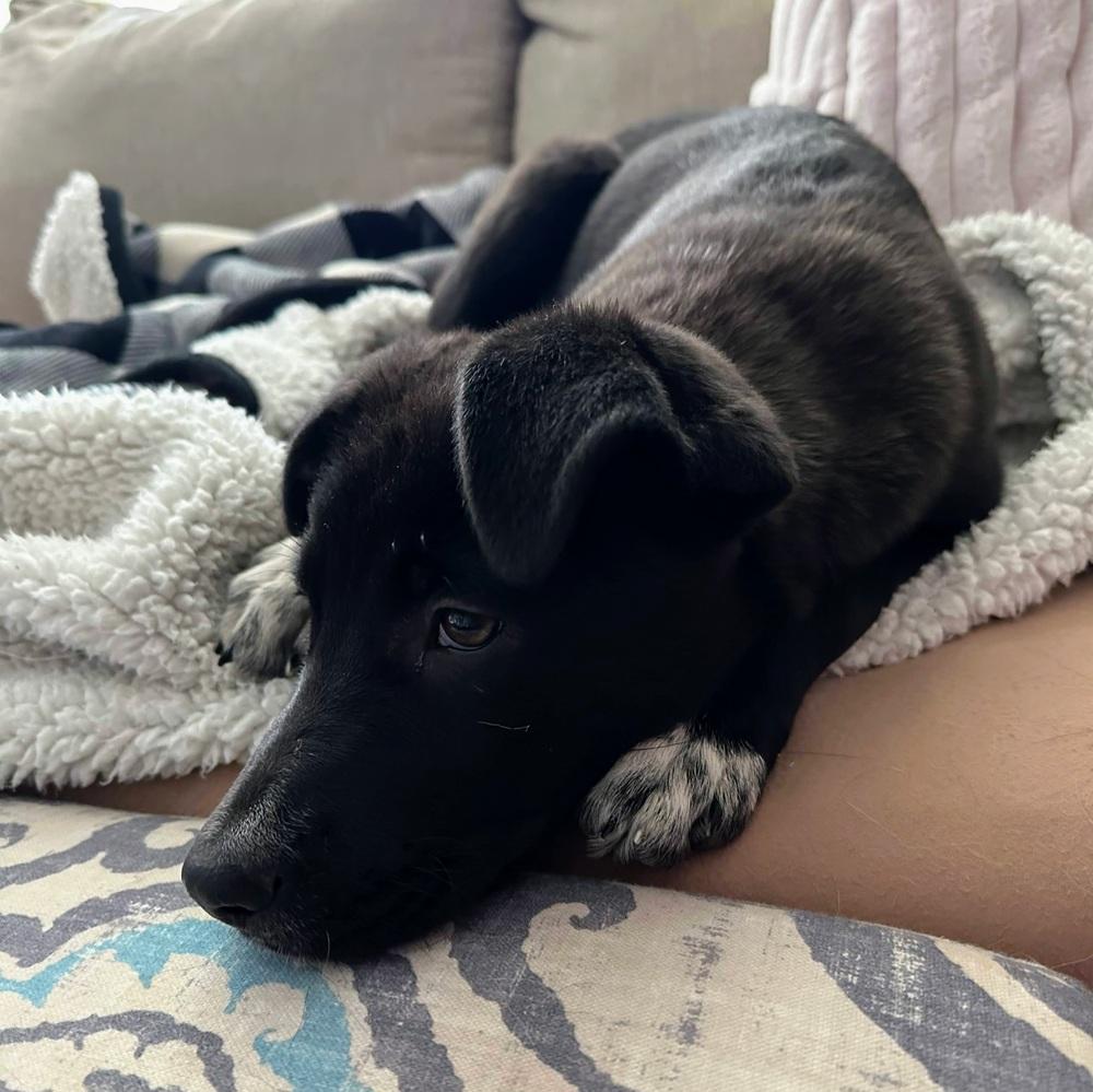 Marion Barkenwood thumbnail 2