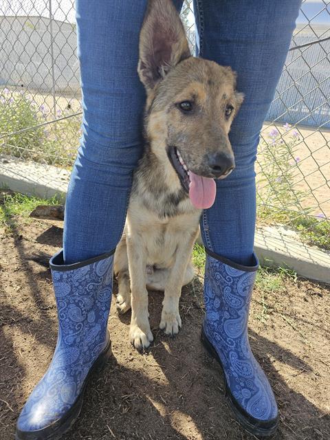 John -- URGENT!!! OUT OF TIME!!!