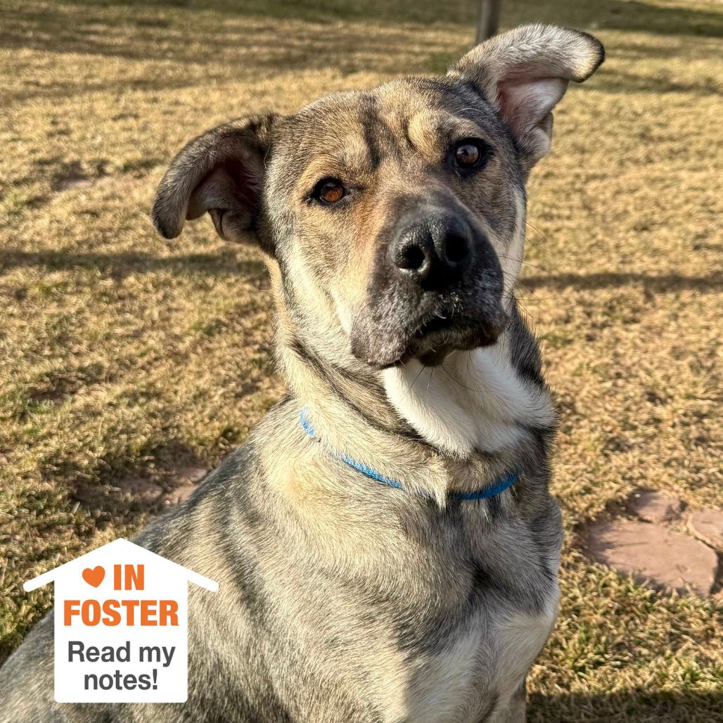 Juno — thumbnail 2