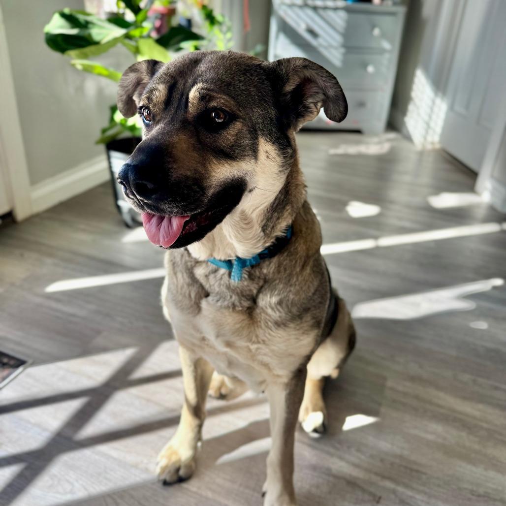 Juno — thumbnail 3