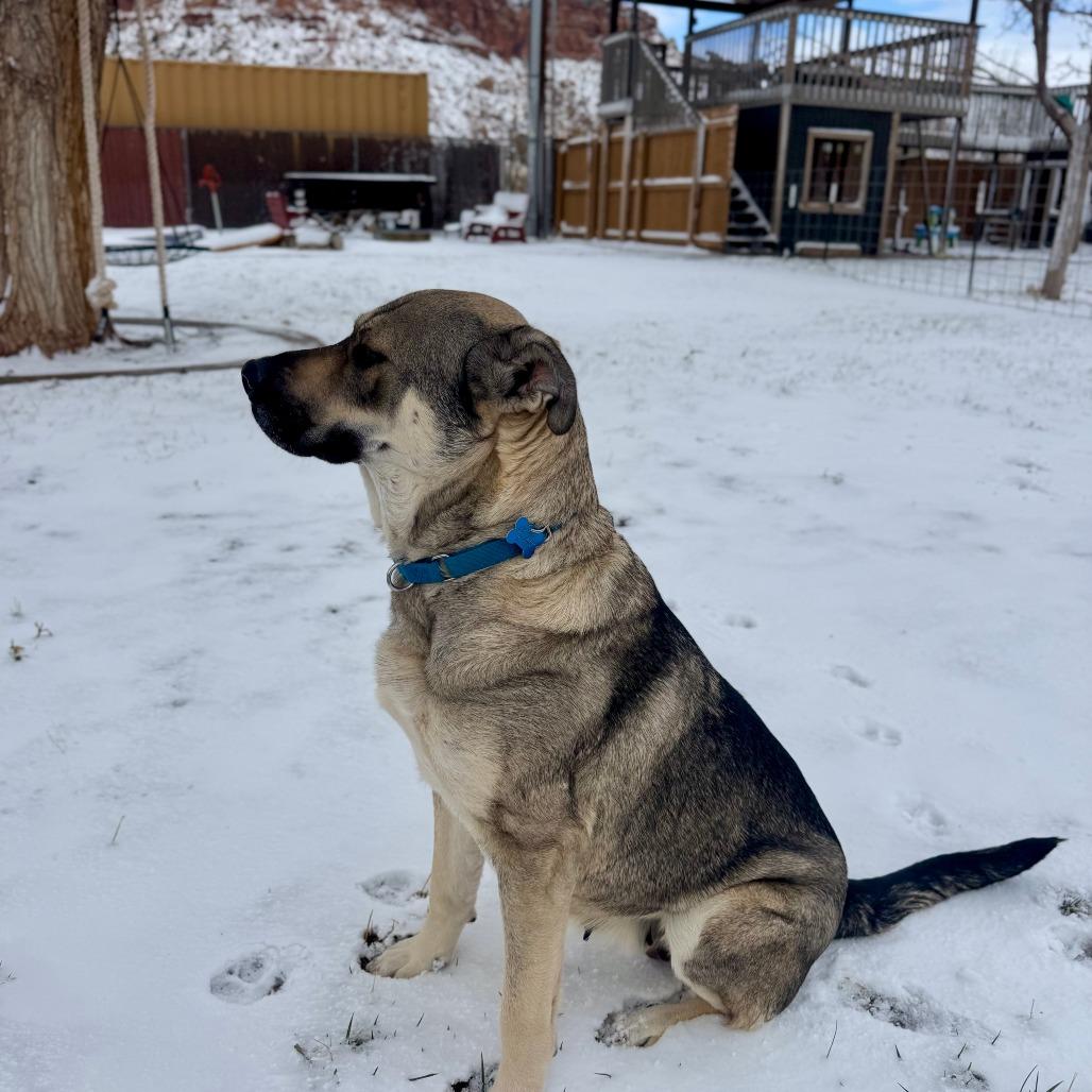 Juno — thumbnail 5