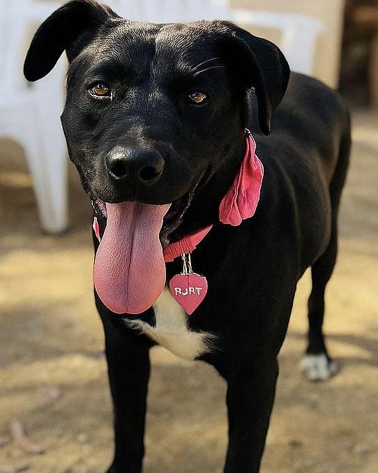 Ruby AKA Black Betty