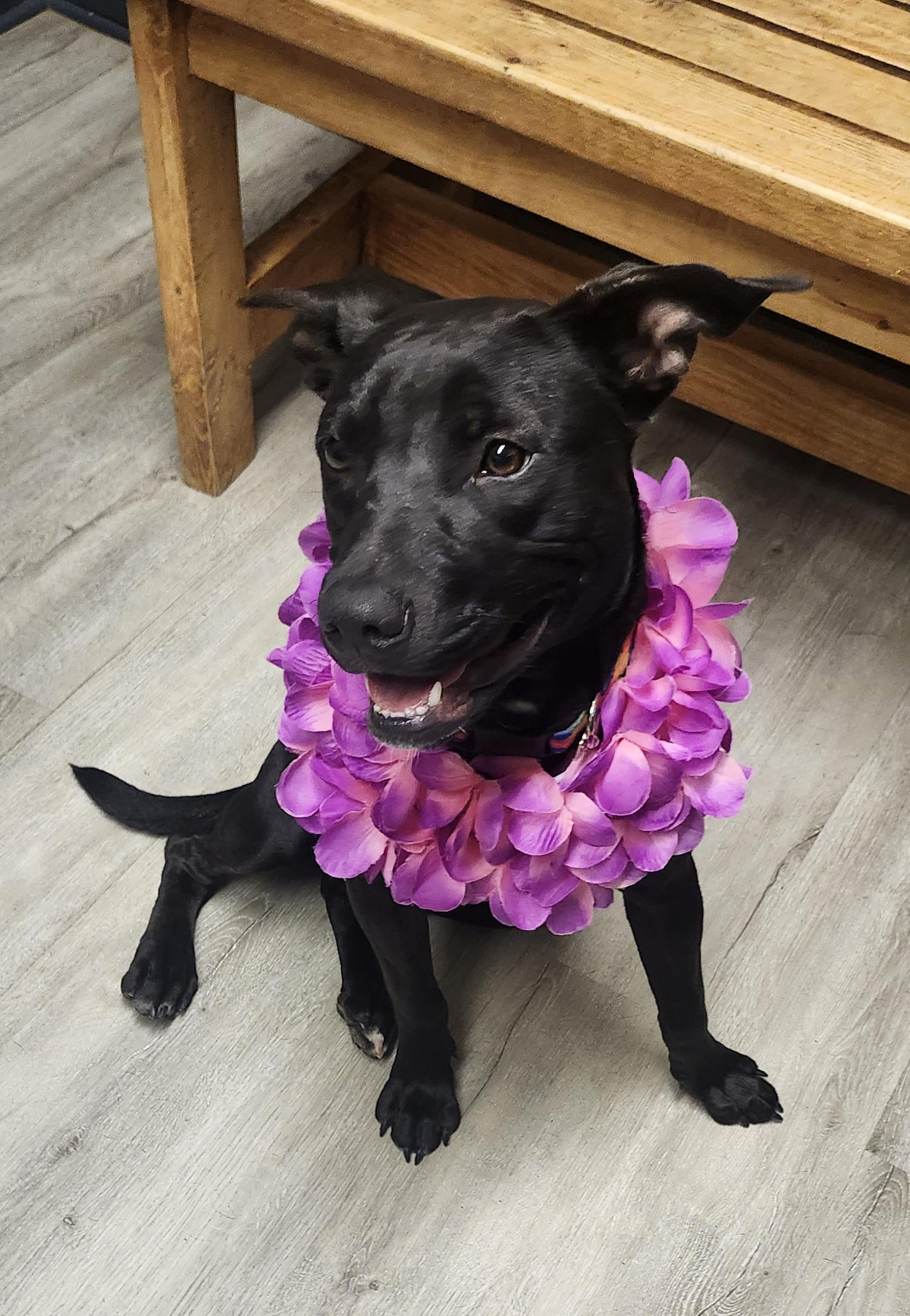 Elida Aka Morgan thumbnail 3