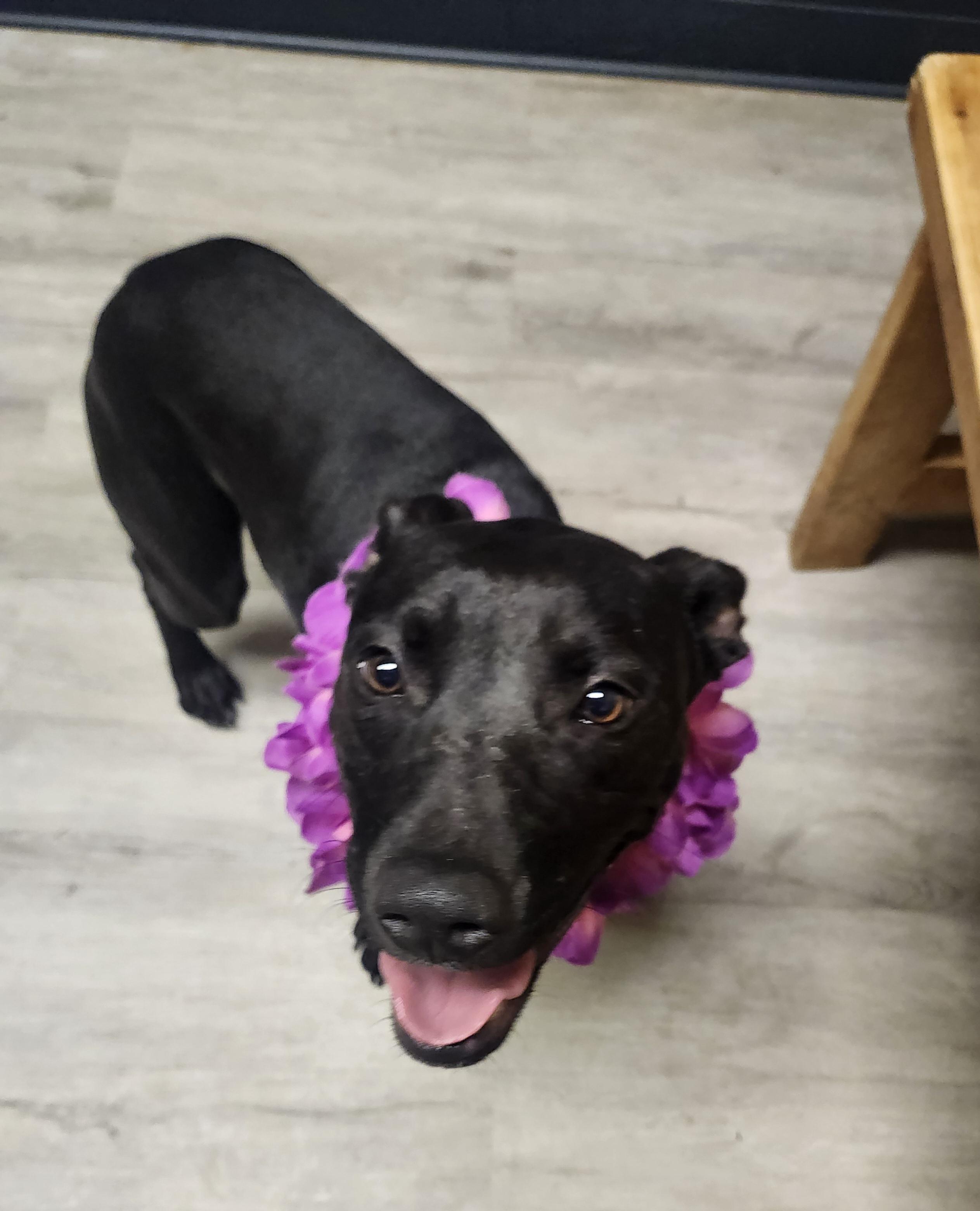 Elida Aka Morgan thumbnail 4