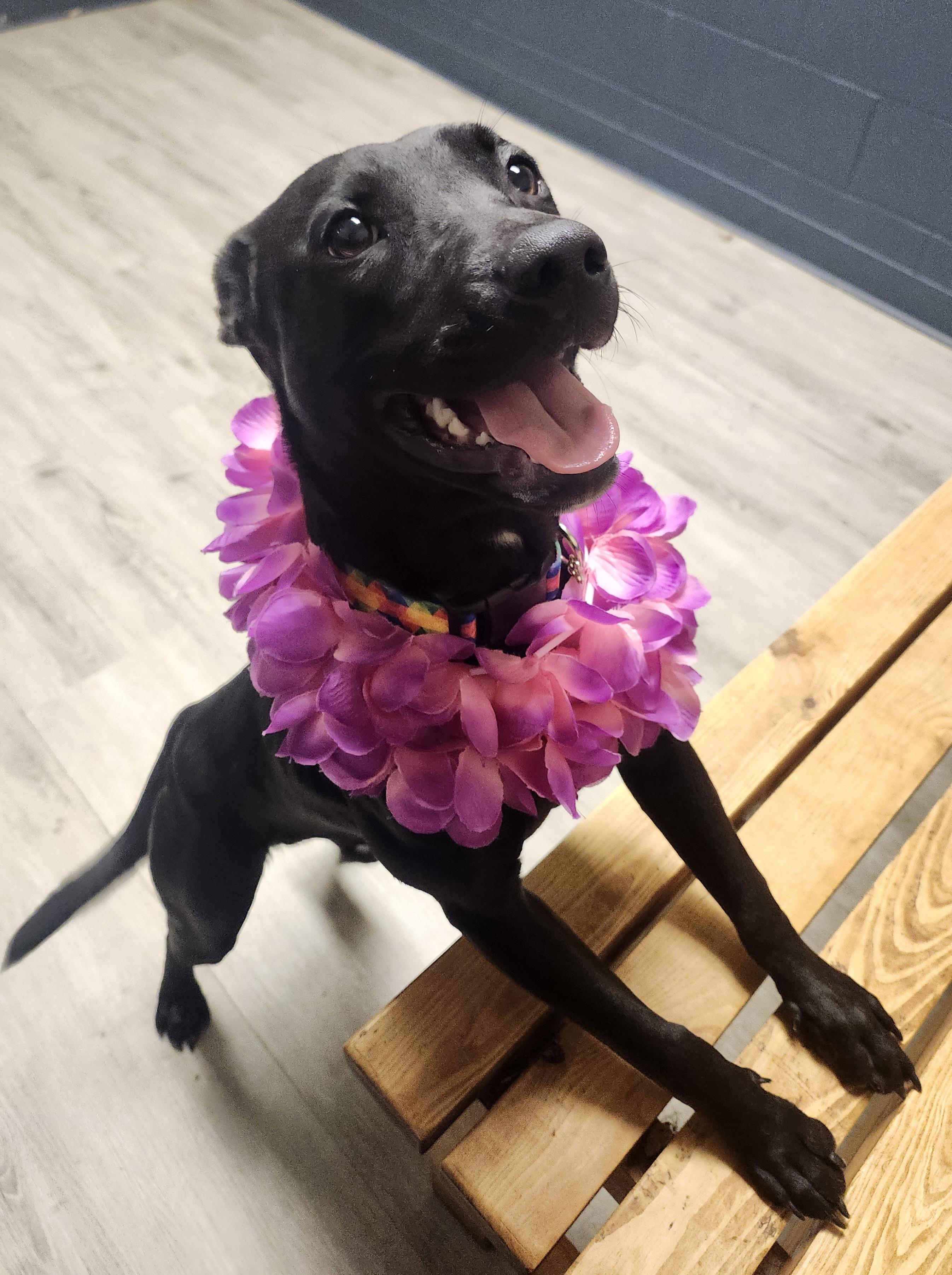 Elida Aka Morgan thumbnail 5