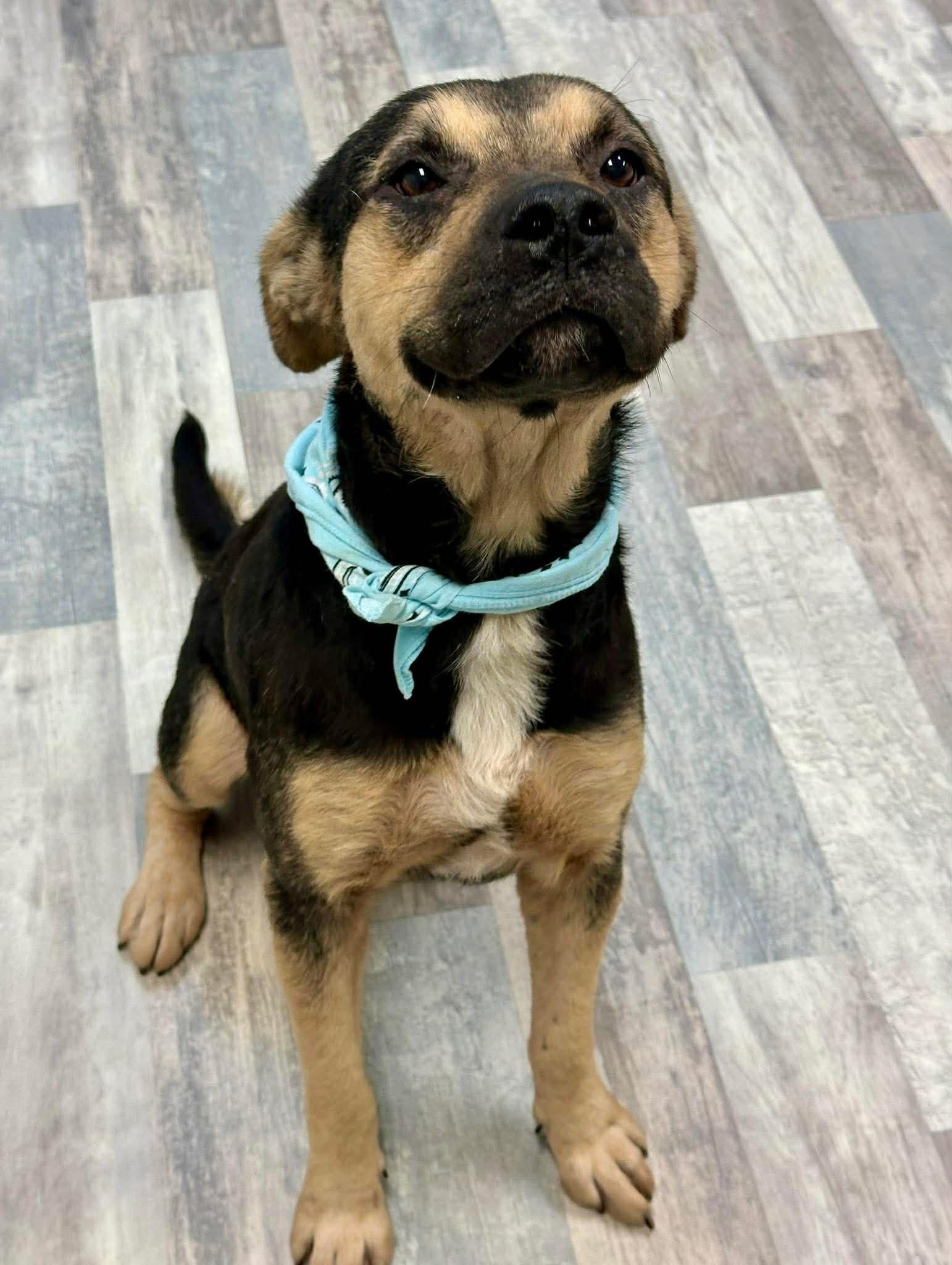 Marcus — thumbnail 5