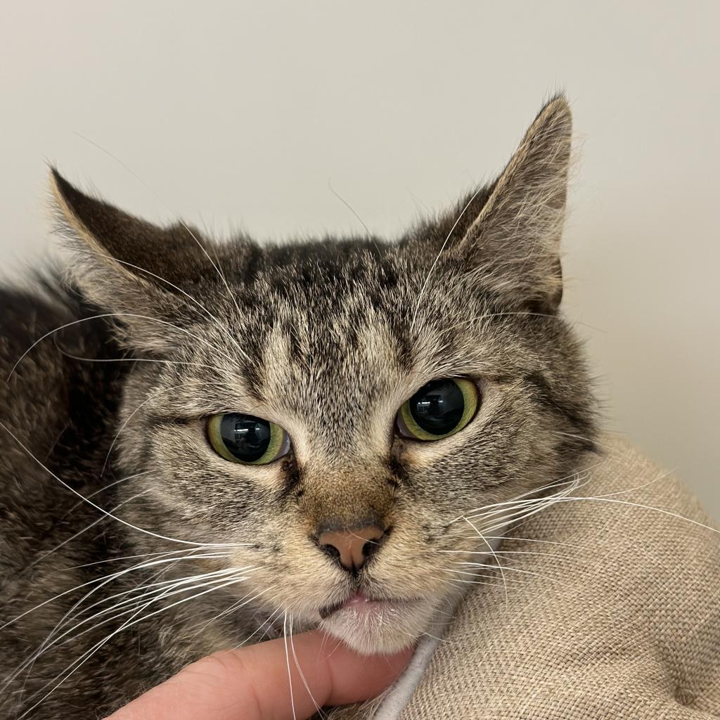 Pretty Girl thumbnail 2