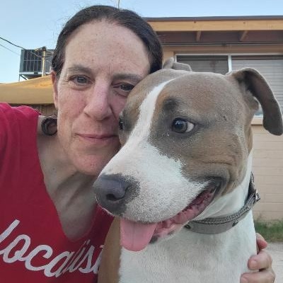 Dezi, a Adoptable mixed breed in Phoenix, AZ image 5/6