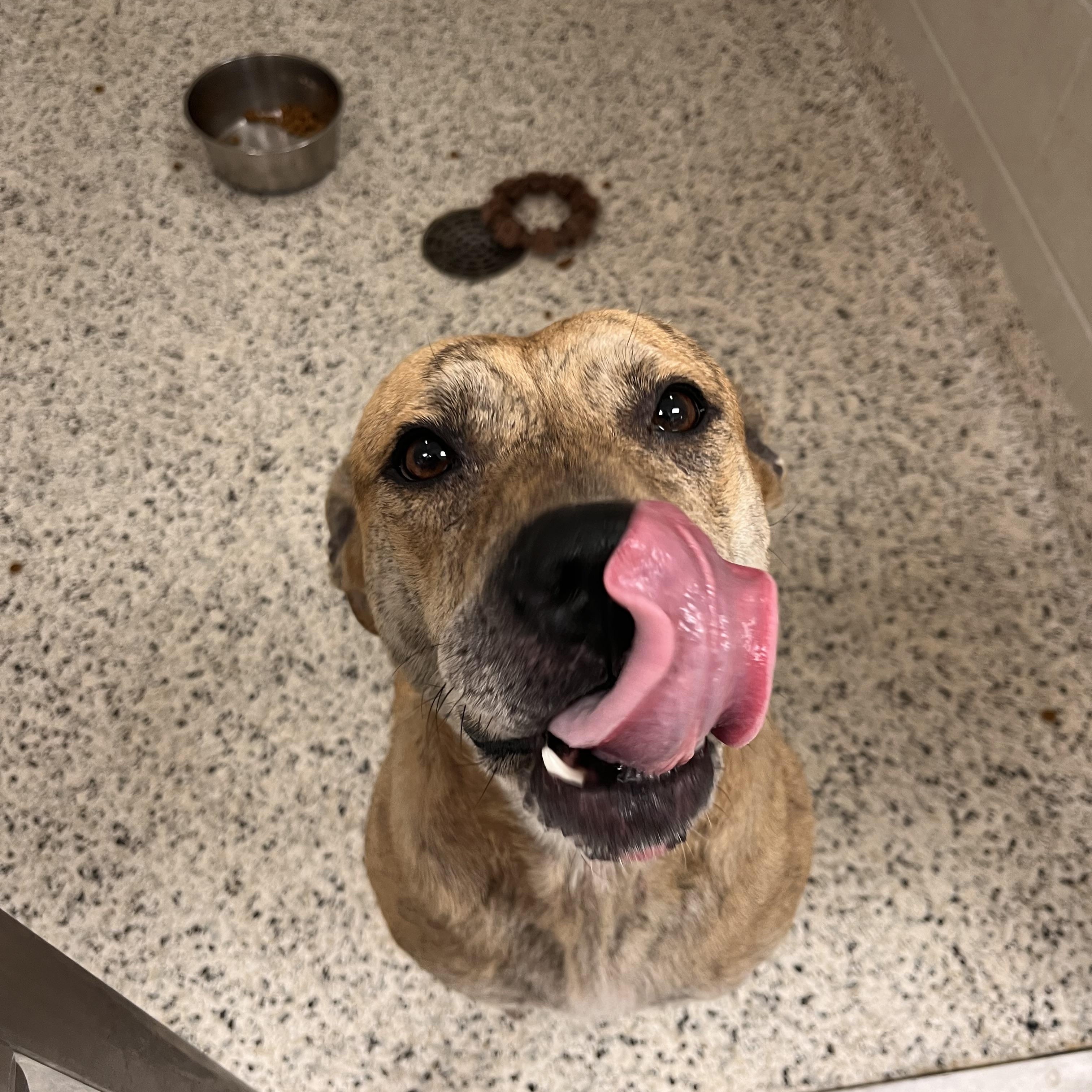 **FOUND**