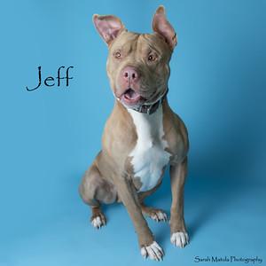 Enlarge Jeff, a Adoptable mixed breed in Ruidoso, NM image 2/2