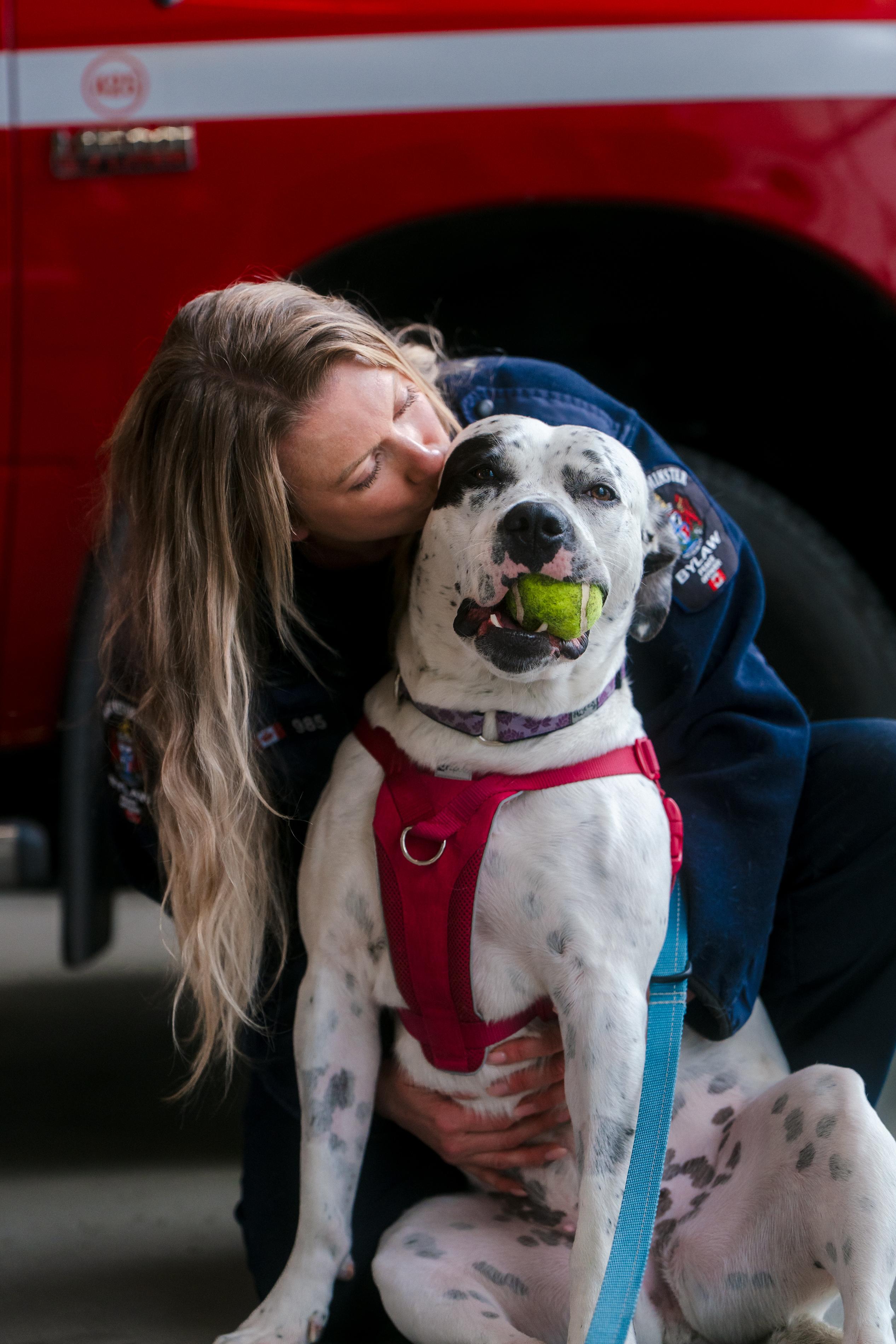 Enlarge Sookie, a Adoptable mixed breed in New Westminster, BC image 3/5