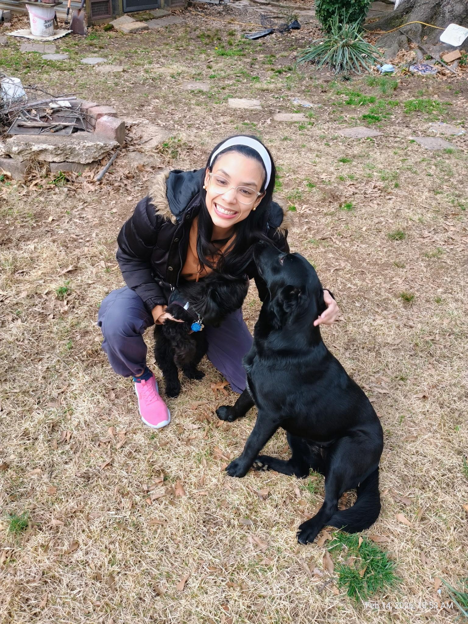 Rosemary , adopted, Young Female Labrador Retriever & Flat-Coated Retriever.