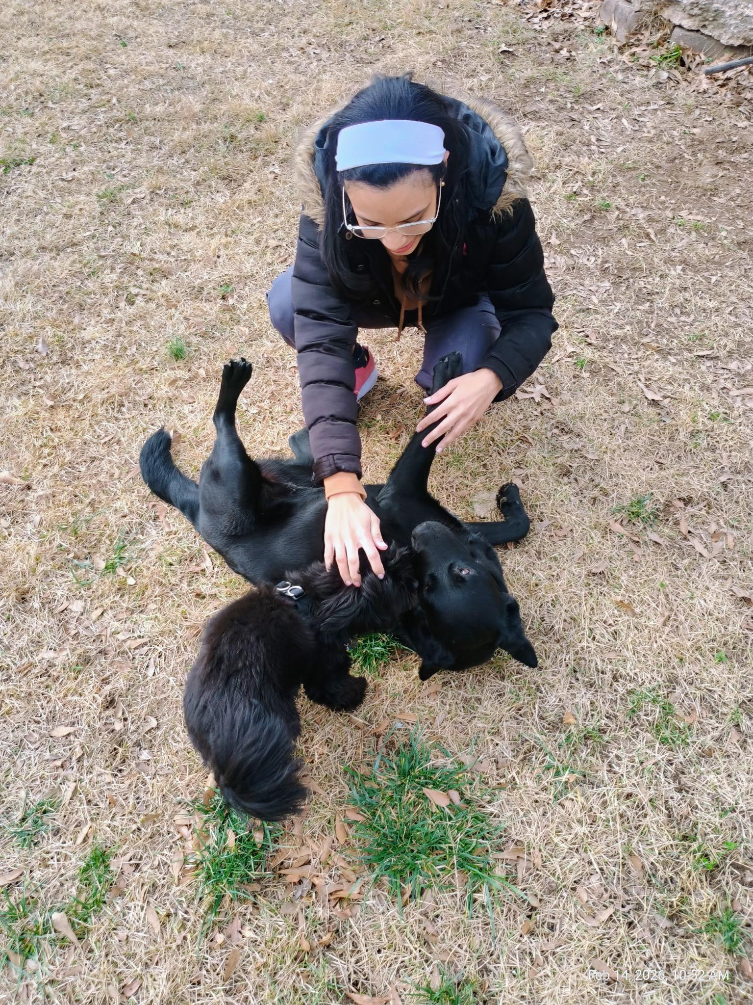 Rosemary , an adopted mixed breed in Columbus , OH image 5/6