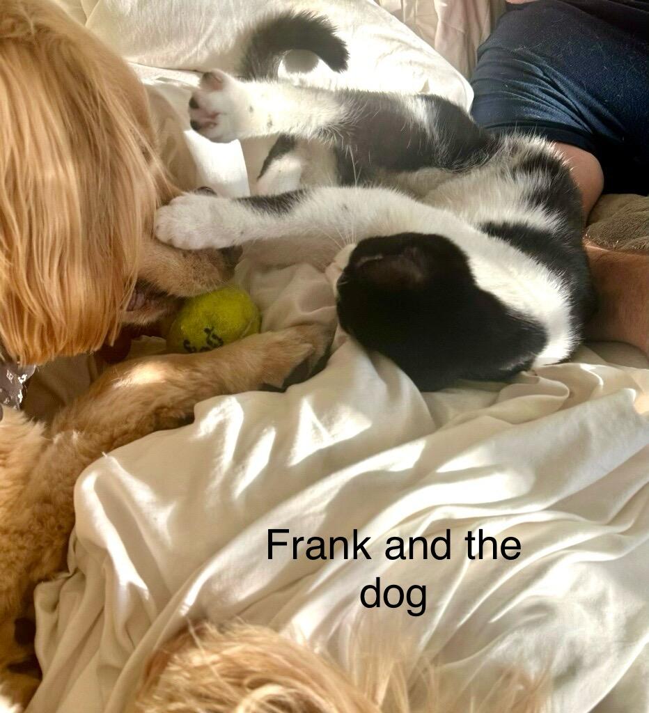 Frank photo 3