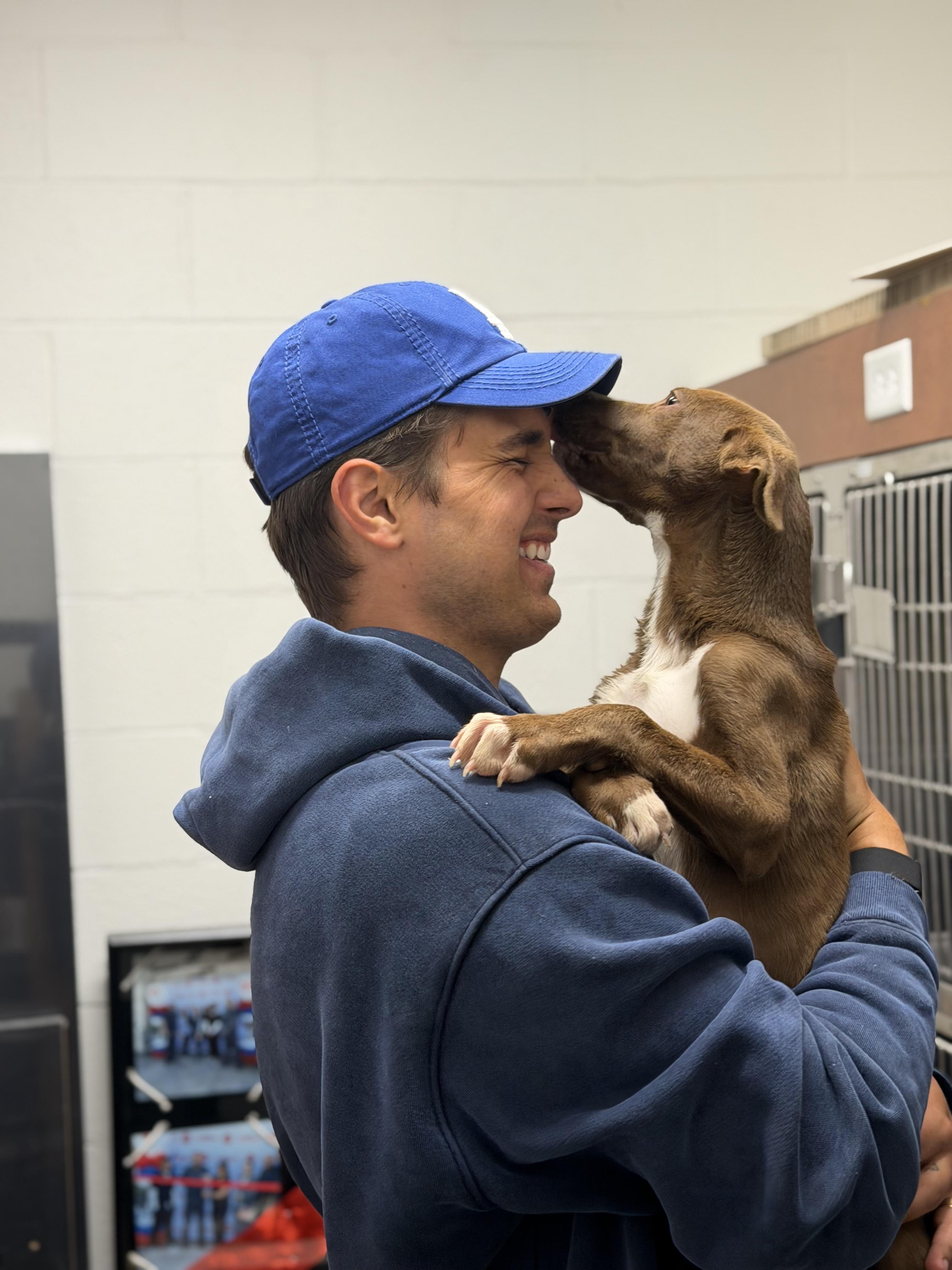 Cocoa, an adopted mixed breed in Frazier Park, CA image 3/5