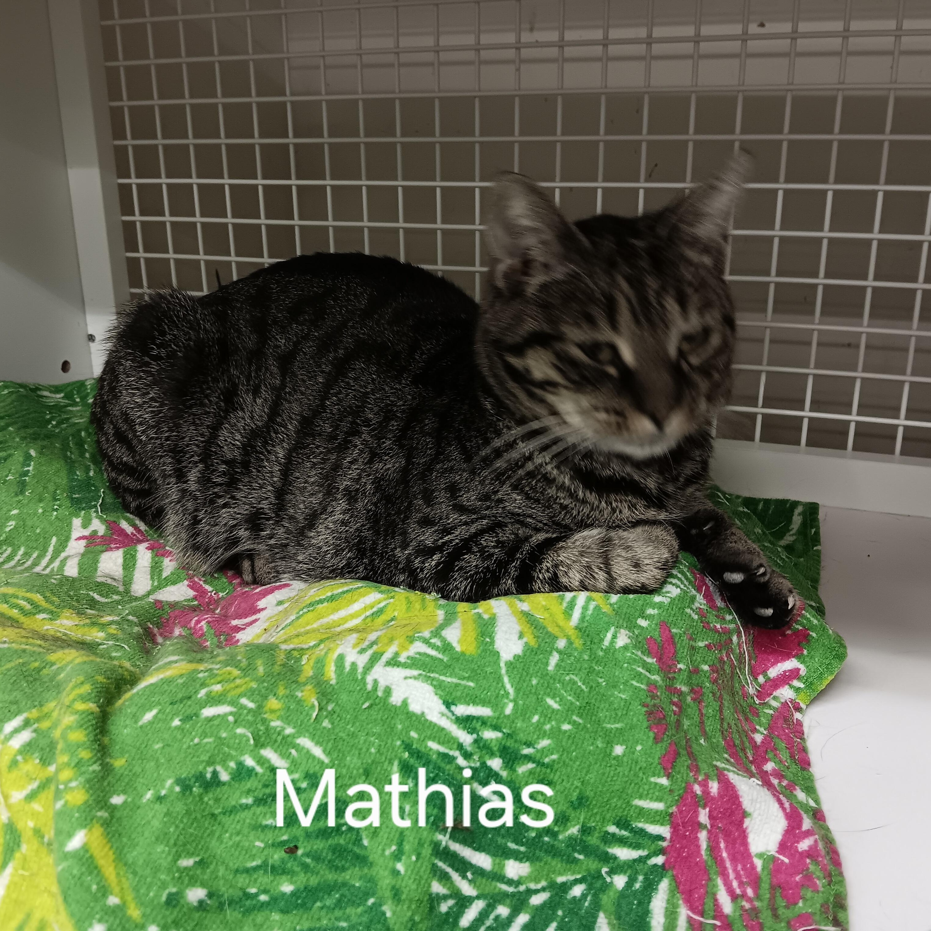 Mathias