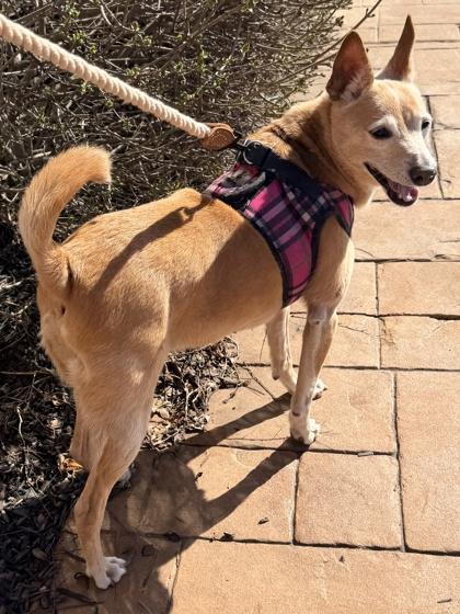 Hannah — thumbnail 2