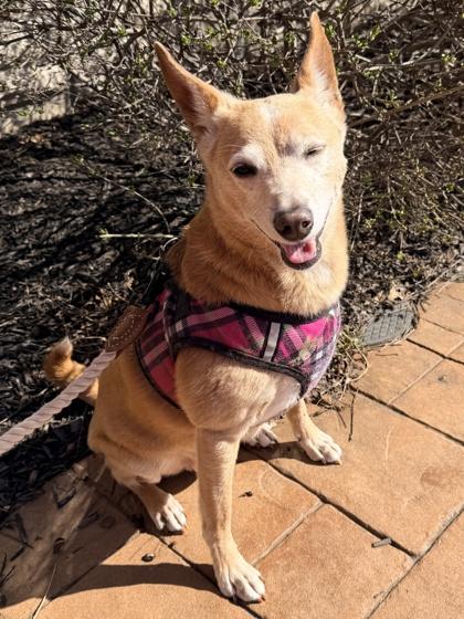 Hannah — thumbnail 3