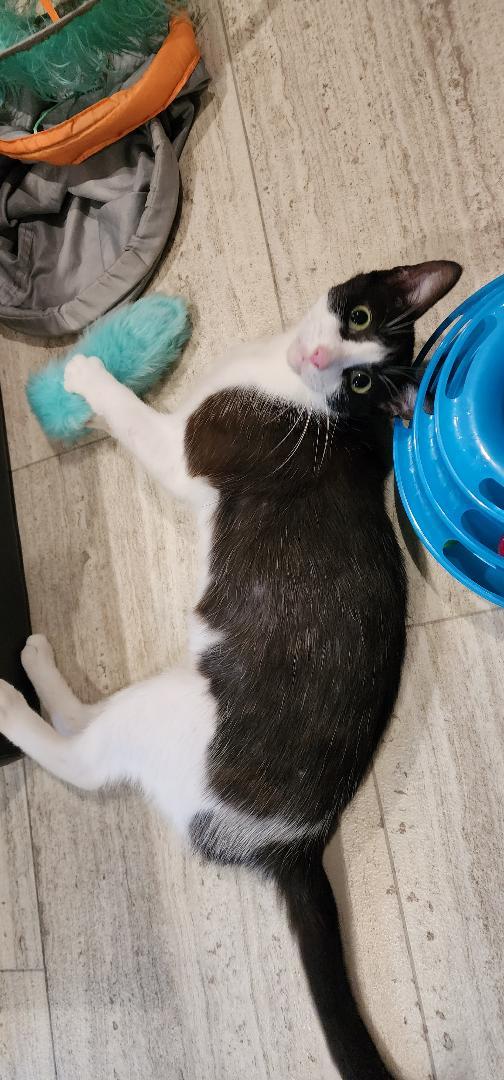 Emerald "emmi" thumbnail 3