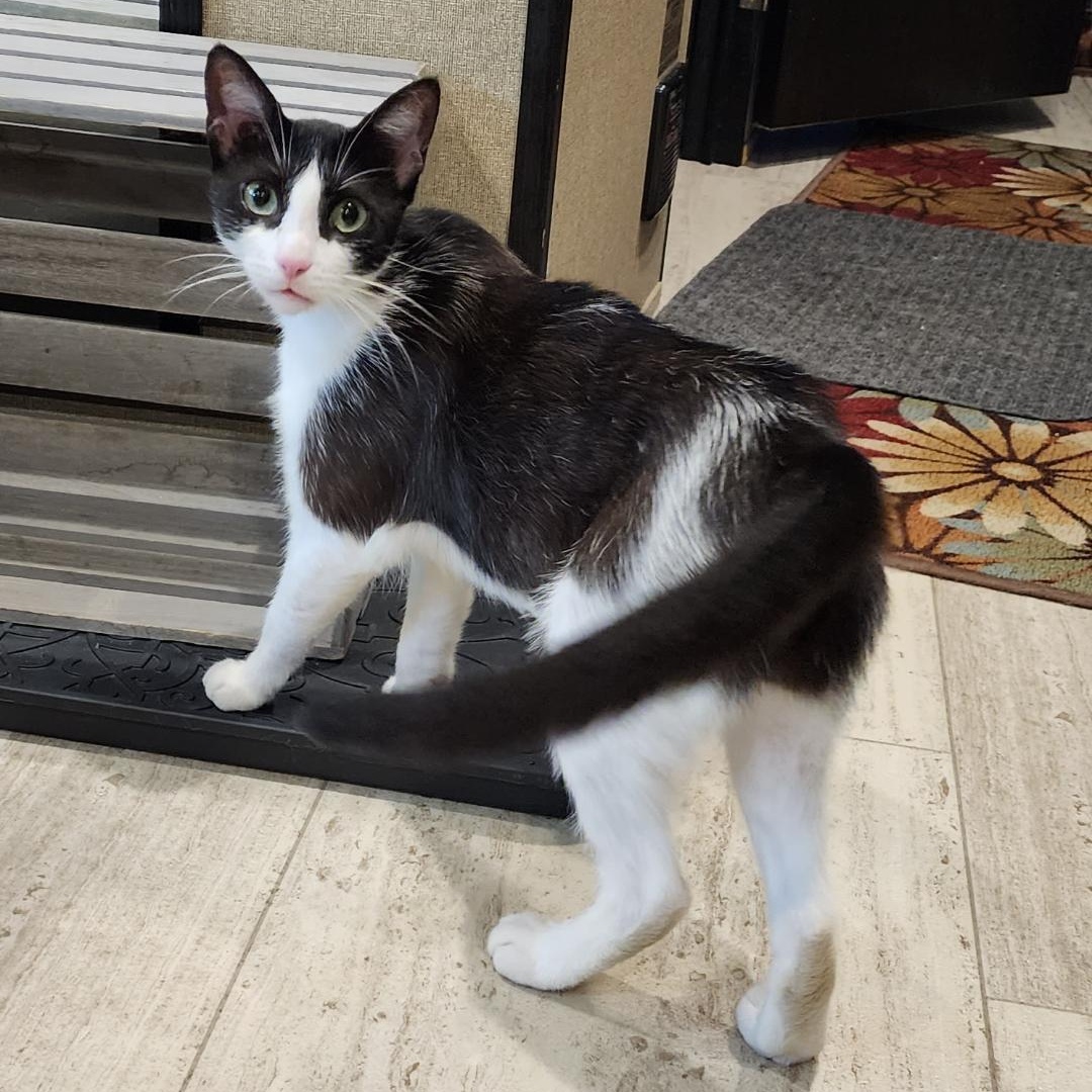 Emerald "emmi" thumbnail 4