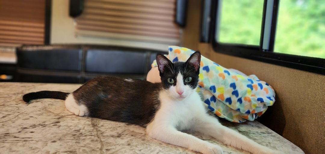 Emerald "emmi" thumbnail 2