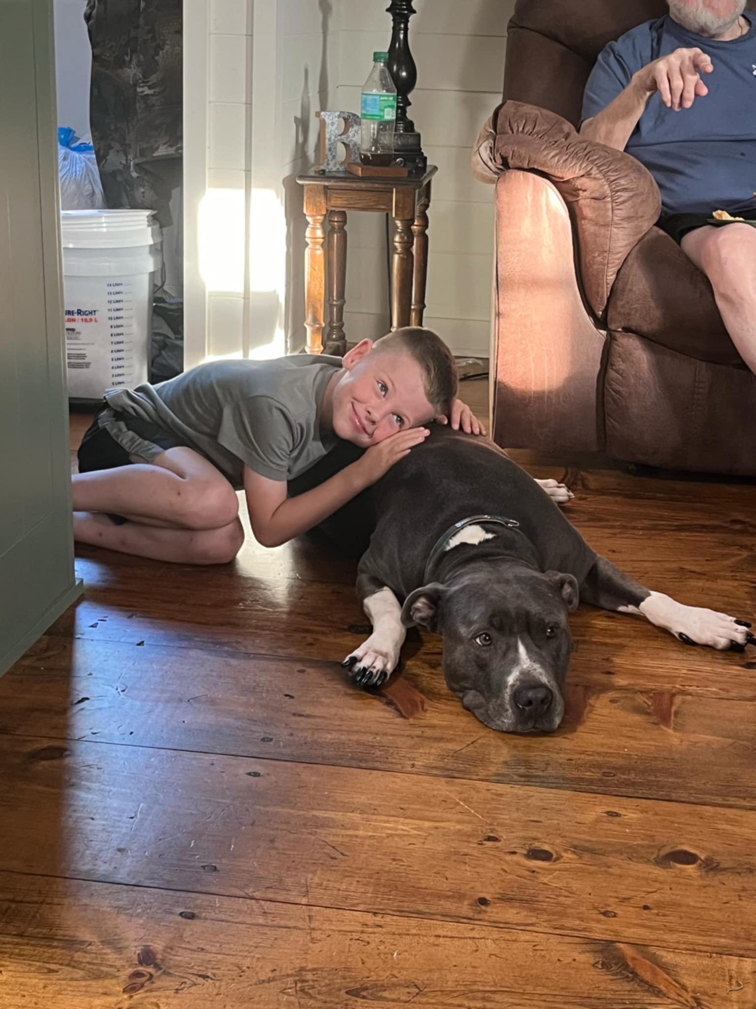 Kane, a Adoptable Pit Bull Terrier in Clarksville, TN image 6/6