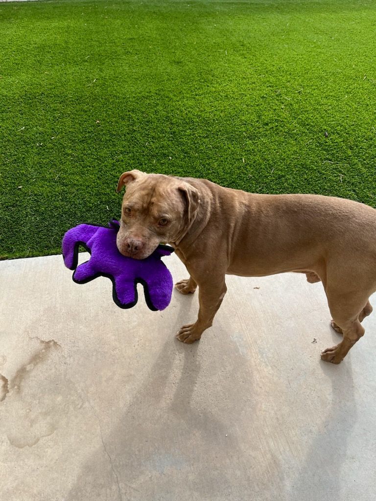 Chance thumbnail 3