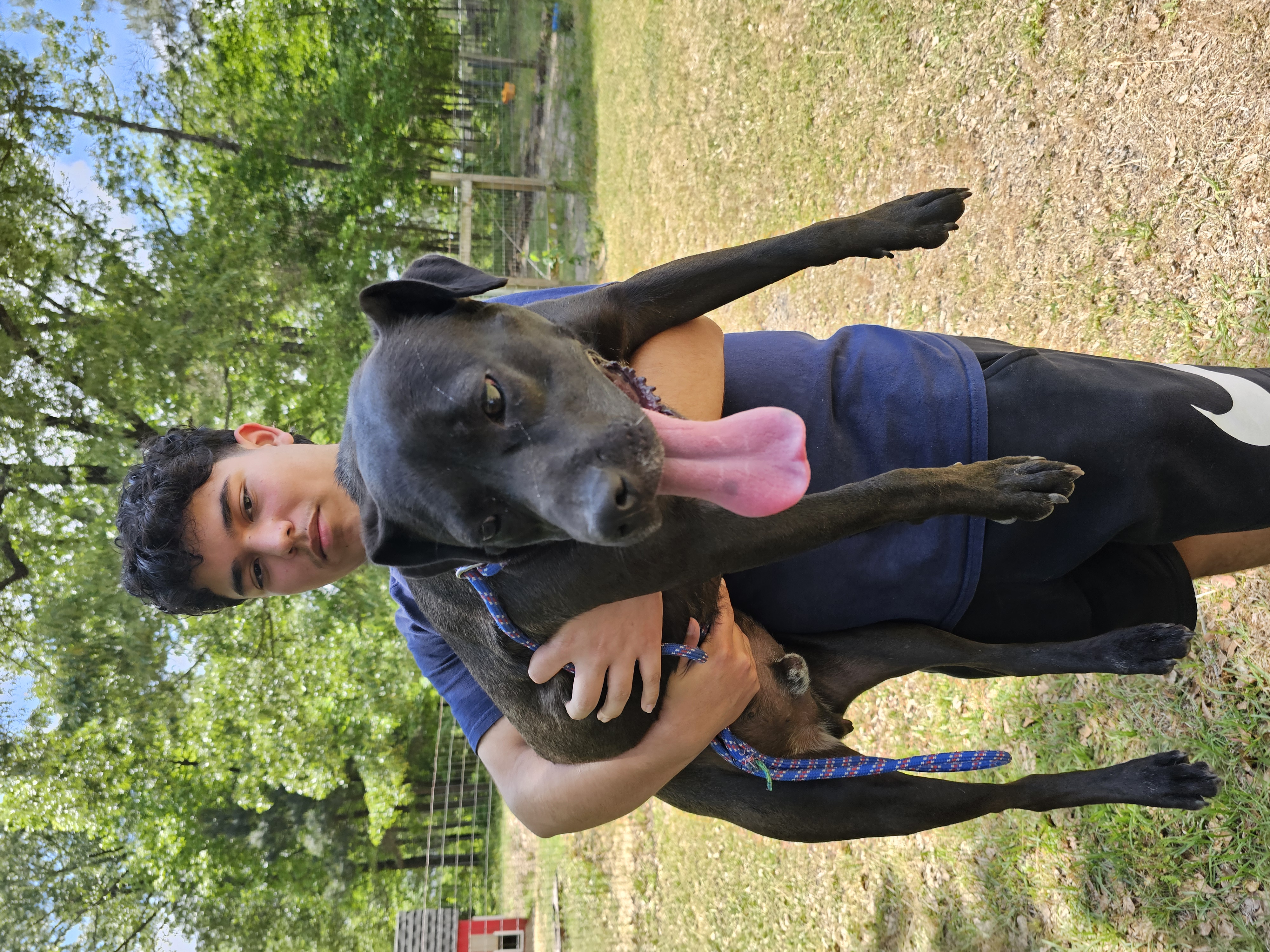 Gusipie, a Adoptable mixed breed in Orangeburg, SC image 5/6