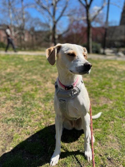 Sadie