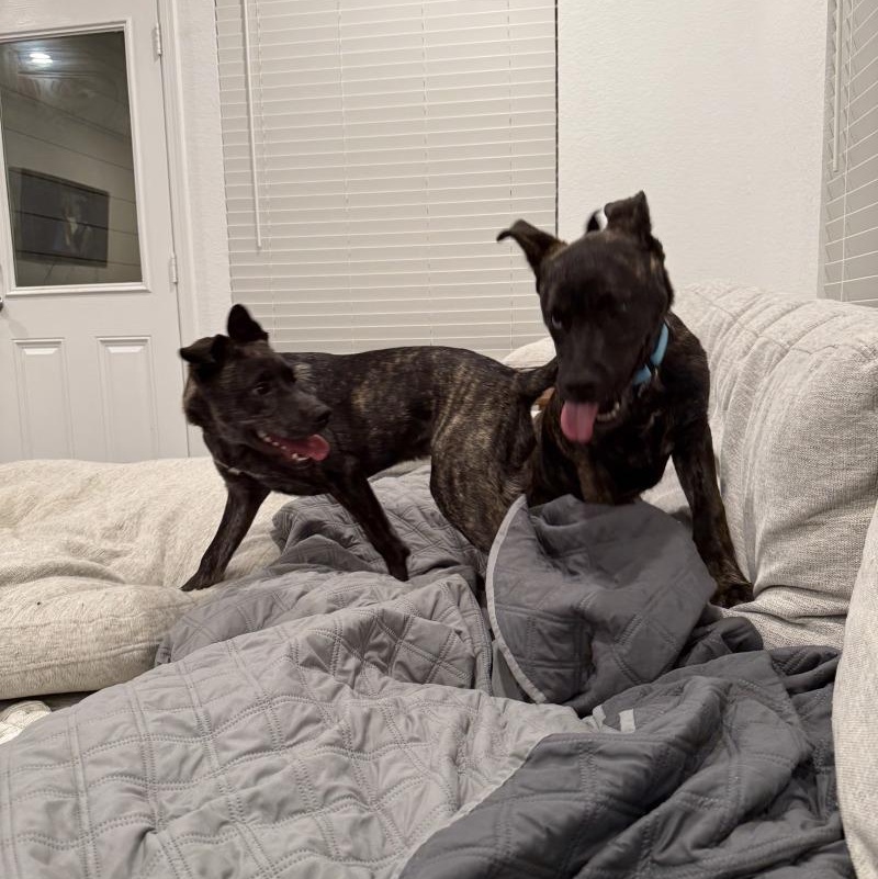 Baby Bear Kissy — thumbnail 3