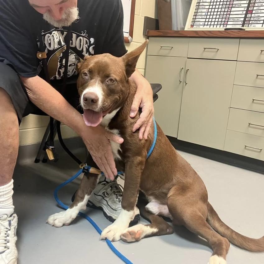 Axel 3498 — thumbnail 3