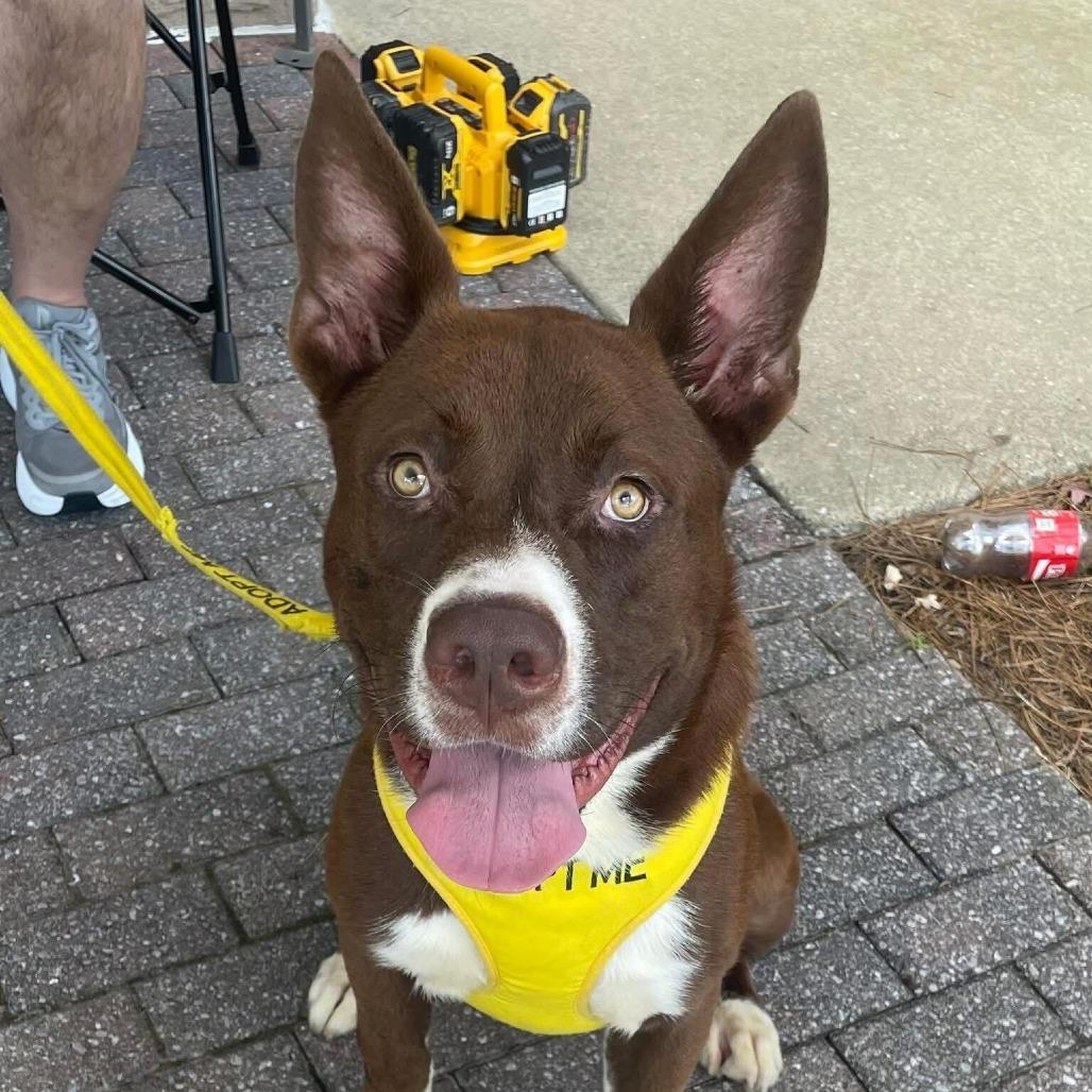 Axel 3498 — thumbnail 5