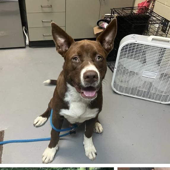 Axel 3498 — thumbnail 6