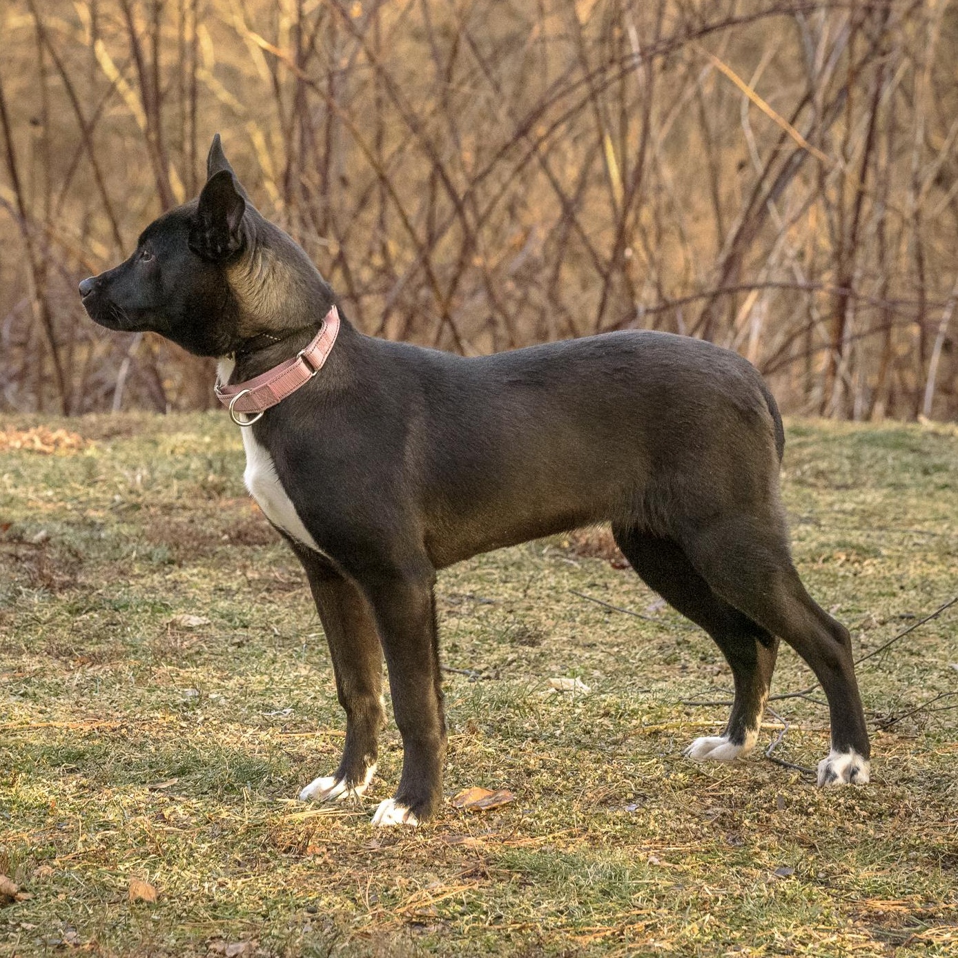 Ashley — thumbnail 2