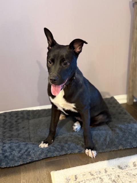 Ashley — thumbnail 3